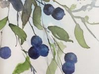 Sloe berries diagonally hanging against a pale blue background.