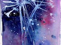 White frosted hog weed stems against a blue/purple bacground