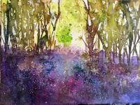 Bluebell woods