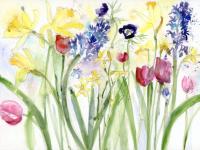 Daffodils, tulips and hyacinths - a mass of Spring flowers