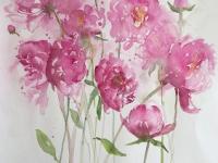 Pink peonies swaying together in the border