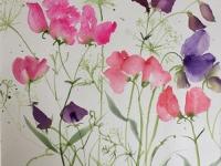 Pink and purple sweetpeas with ammi twisting through them
