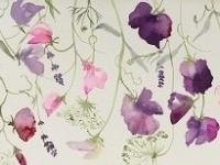 Sweetpeas, ammi and lavender intertwining on a white background