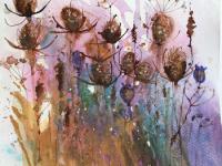 Teasels and seed heads