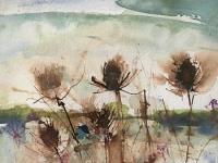 Ink teasels overlooking water and distant hills