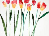 Tulip Collage