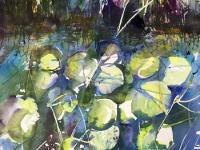 Yellow green bank with reeds above waterlilies