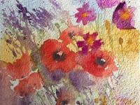 Poppies and other wild flowers growing together.