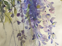 Purple wisteria blooms in a mass of trailing petals