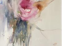 Red rose against a white background