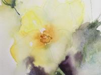 Rose in full bloom with bud above on a mauve green background