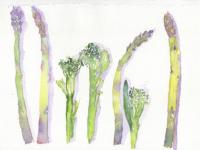 asparagus2