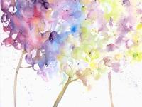 Hydrangeas