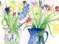 Spring_Jugs