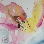 Pink yellow lily with pale blue background