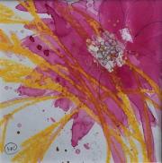 Deep pink poppy with wheat