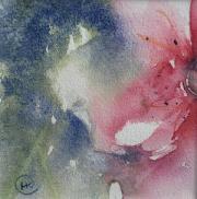 Pink rose against edge with blue background.