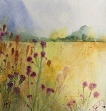 Yellow field with trees beyond and thistles and flowers in teh foreground