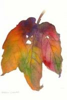 Autumn_leaf_5