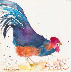 Small_Cockerel Small_Cockerel