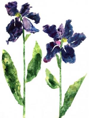 Collage Flowers