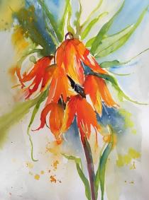 Bright orange flowers with green foliage against a blue background