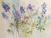 Blue/mauve delphiniums growing together 