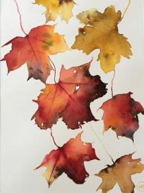 Red/yellow/gold leaves falling down the page