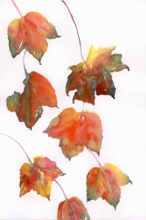 Falling Leaves Falling Leaves