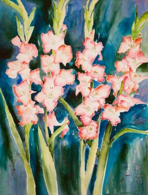 Gladioli