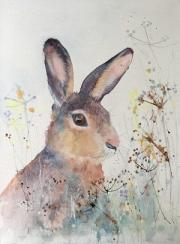 Brown hare sitting in cow parsley seed heads in a meadow.
