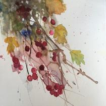 Hawthorn berries spilling out of the hedge in beautiful shades of red