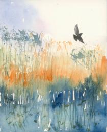 Bird flying across orange reeds and blue water
