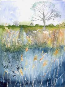 Blue water, reeds, birds distant trees . Wicken Fen