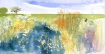 Blue water/ Wicken Fen with orange/gold reeds, bird and distant trees