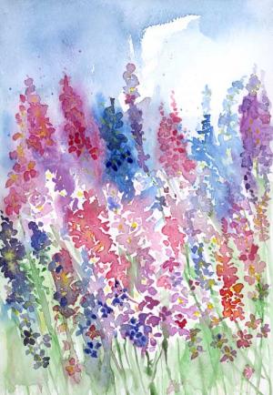 Larkspur