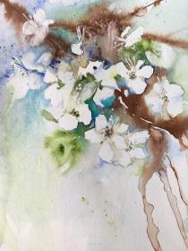 White May Blossom with sepia ink and watercolour