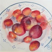 Glowing colours of plums and nectarines on a blue patterned plate
