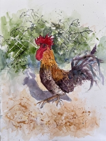 cockerel against netting and foliage