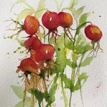 Orange red rose hips tumbling together on their stems with foliage
