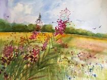 Background tree line and field with magenta flowers in foreground