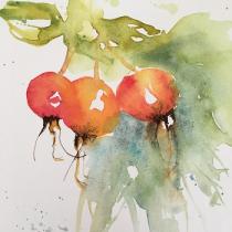 Orange red rose hips with a variety of green in the background