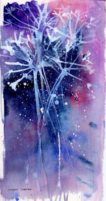 White frosted hog weed stems against a blue/purple bacground