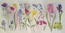 Spring in Flower