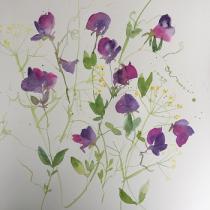 Purple pink sweetpeas with a background of yellow/green fennel