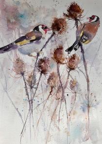 Two goldfinches balancing on teasel stems