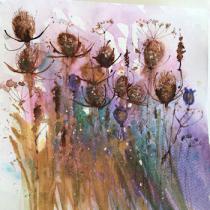 Teasels and seed heads