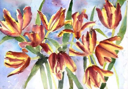 Parrot Tulips Parrot Tulips