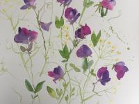 Sweetpeas and Fennel