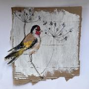 Goldfinch in hogweed